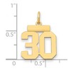 Black Bow Jewelry 14k Yellow Gold, Athletic Collection, Small Polished Number 30 Pendant - 2 of 3