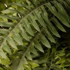 35" Artificial Fern Wreath - National Tree Company - 3 of 4