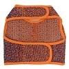 Doggie Design Active Mesh Dog Harness with Leash - Orange & Blue - 2 of 3