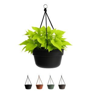 Bloem 12" Dura Cotta Round Resin Self-Watering Hanging Basket Planter with Macrame Cord - 1 of 4