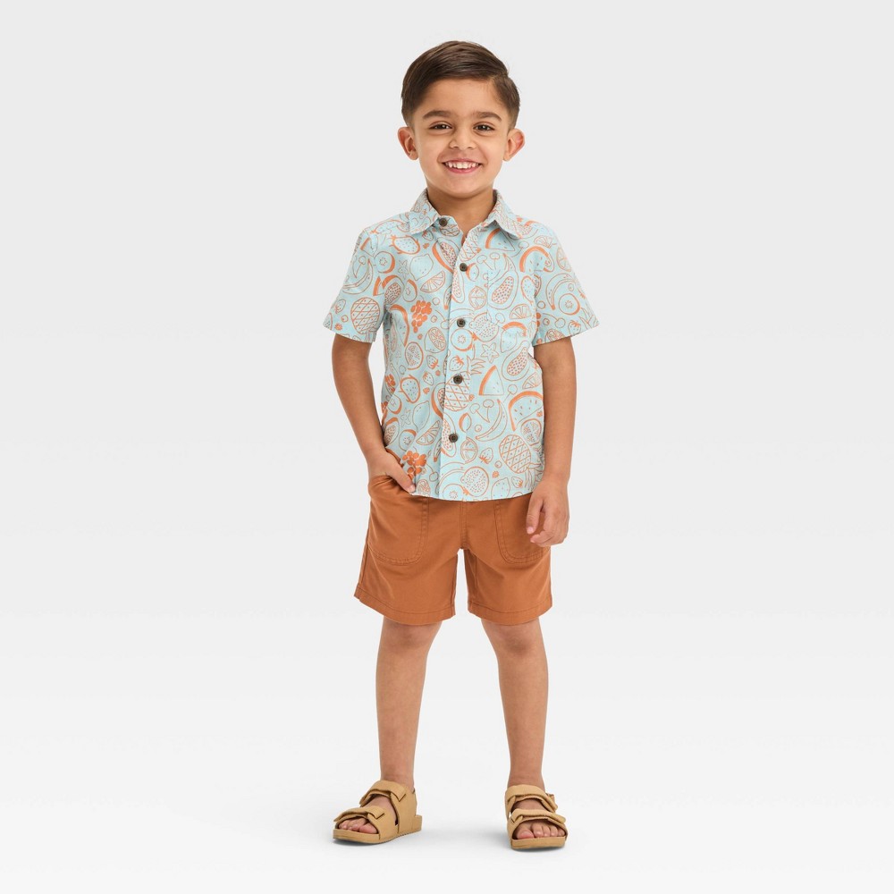 Toddler Boys Short Sleeve Fruit Button Shirt and Shorts Set