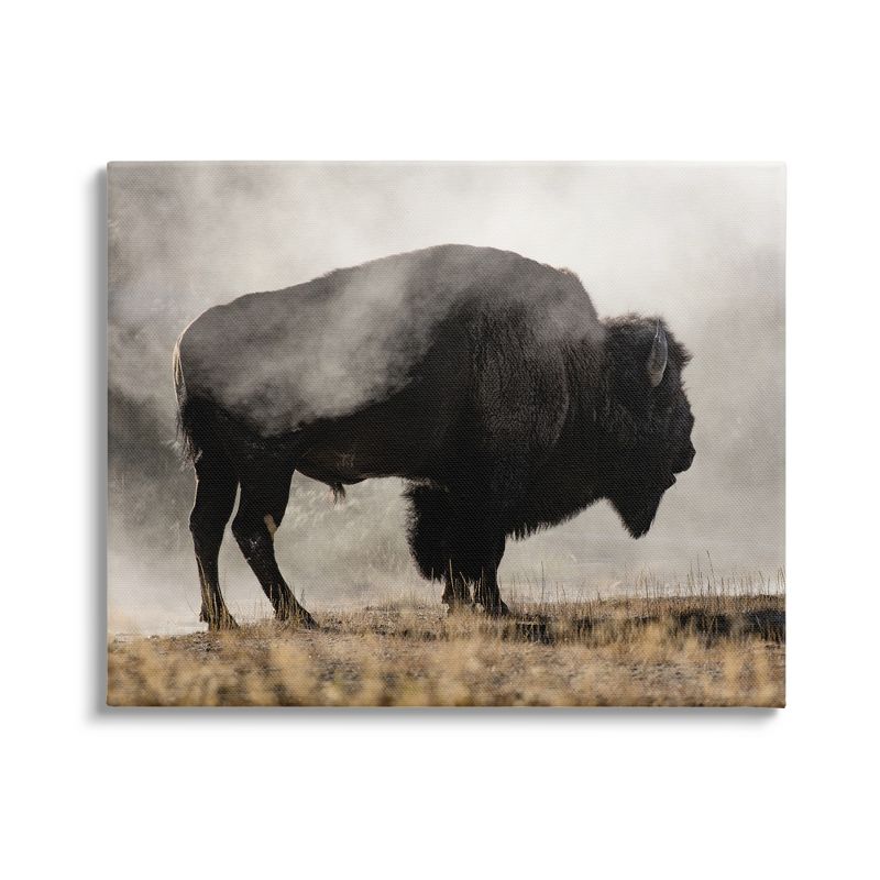 Stupell Industries Powerful Bison Grazing Foggy Rural Pasture Photography Canvas Wall Art, 1 of 6