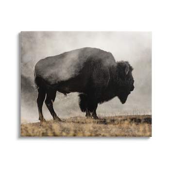 Stupell Industries Powerful Bison Grazing Foggy Rural Pasture Photography Canvas Wall Art