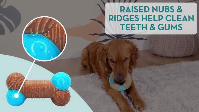KONG Corestrength Bamboo Ring Dog Toy - Blue, 2 of 5, play video