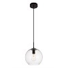 Elegant Lighting Placido Collection Pendant D9.8 H9.8 Lt:1 Black and Clear Finish - 3 of 4