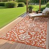coucheta Multi-size Waterproof Outdoor Medallion Patio Rug, Reversible Plastic Straw Vintage Camping Carpet, for Patio, Deck, Backyard, Balcony - 2 of 4