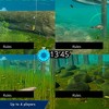 Legendary Fishing – Nintendo Switch Game | Family-Friendly, Motion Controls, Outdoor Adventure - 2 of 4