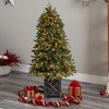 Nearly Natural 5-ft Colorado Fir Flocked Dusted Artificial Christmas Tree with 300 LED Lights - 4 of 4