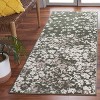 Adirondack ADR115 Non-Shedding Power Loomed Indoor Rugs - Safavieh - 2 of 4