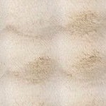 jeni beige