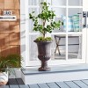 Paul Planter - Indoor/Outdoor - PAT5037 - Safavieh - 2 of 4