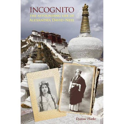 Incognito - by  Dianne Harke (Paperback)