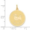Black Bow Jewelry 14k Yellow Gold Laser Etched Shih Tzu Disc Pendant, 19mm - 4 of 4