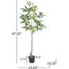 120CMARTIFICIAL PACHIRA MACROCARPA - 2 of 3