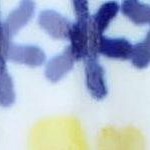 yellow daisy