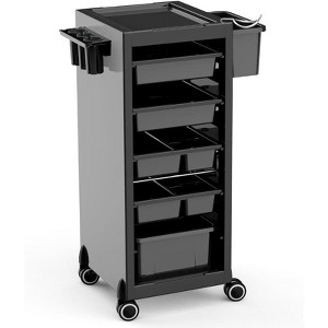 Salon Trolley, Storage Trolley, Stylist'S Equipment Storage Trolley, Hairdryer Holder, 6 Extra Storage Trays and Free Combination Tool, 1 Stand - 1 of 4