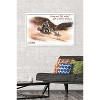 Trends International Star Wars: The Mandalorian - Ride Framed Wall Poster Prints - 2 of 4