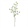 Snowball Floral Branch (Set of 6) - 3 of 3