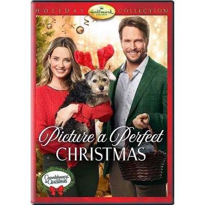 Picture A Perfect Christmas (DVD)(2020)