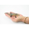 Collectible Wildlife Gifts | Lizard, Perentie Monitor Lizard, Museum Quality, Hand Painted, Rubber Toy Realistic  Model, Gift,    6"   CH214 BB118 - 2 of 4