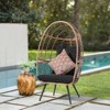 Sunsitt Steel Wicker Outdoor/Indoor Egg Chair - 2 of 4