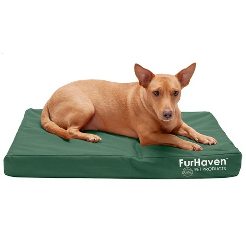 target dog bed medium