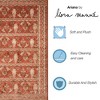 Liora Manne Ariana Traditional Indoor Rug.. - 3 of 4