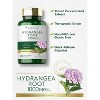 Carlyle Hydrangea Root 1000mg | 100 Capsules - 3 of 4