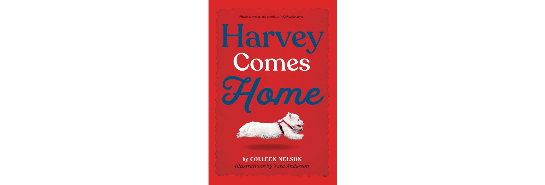 Harvey Comes Home - (The Harvey Stories) by  Colleen Nelson (Paperback)