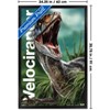 Trends International Jurassic World: Rebirth (2025) - Velociraptor Framed Wall Poster Prints - 3 of 4