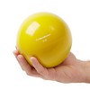 Philosophy Gym Toning Ball - Soft Weighted Mini Medicine Ball - 2 of 4