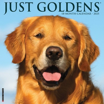 Willow Creek Press Goldens 2025 Wall Calendar: Monthly 12x12" Paper, Blue, All Ages, Sewn Binding, January-December