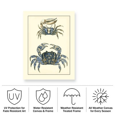 Antique Blue Crabs Outdoor Canvas Art 24x32
