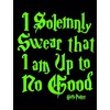 Harry Potter I Solemnly Swear Neon Green Text Graphic Printed Black T-shirt Toddler Boy to Youth Boy - 2 of 3