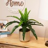 Northlight Potted Artificial Long Green Boston Fern Plant - 15.75" - 2 of 4