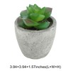 Unique Bargains Artificial Plants Mini Graptoveria in Pulp Plastic 2.36"x2.36"x3.15" 1 Pcs - 3 of 4