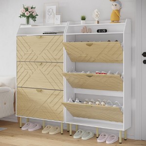 GustoWave Shoe Storage Cabinet with 2 Flip Drawers, Freestanding Shoe Organizer for Entryway, Narrow Shoe Rack Cabinet - 1 of 4