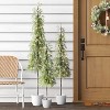 Pre-Lit Potted Balsam Artificial Christmas Tree - Wondershop™ - 2 of 4