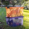 Sterilite 64 Quart Latching Plastic Storage Container, Purple & Orange (12 Pack) - 2 of 4