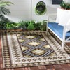 Veranda VER099 Power Loomed Indoor/Outdoor Area Rug  - Safavieh - 2 of 4