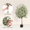 Whizmax Artificial Olive Tre, Faux Potted Plant with Realistic Trunk, Adjustable Branches & Fruits, Indoor Tropical Decor for Home & Office - 4 of 4