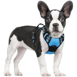 rabbitgoo Dog Harness No Pull with 2 Leash Clips, Adjustable Soft Padded, Reflective Oxford NoEasy Control Handle for Small Dogs, Blue, S - 1 of 1