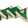 Allegra K Women's Skinny Ribbon Neck Scarf 34x4 inches(LxW) - 4 of 4