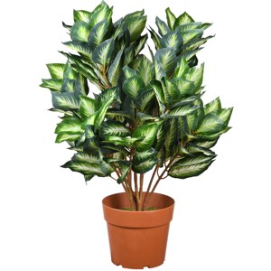 30"x20" Artificial Hosta Plant in Grower's Pot - National Tree Company - 1 of 4
