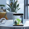 Bellura Pet - 2 Gallon Self - Cleaning Fish Tank - Black - 2 of 4