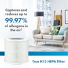 Safe+Mate True HEPA  Air Purifier Filter Replacement 210 SQFT - White (1 Pack) - image 2 of 4