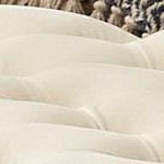 cream