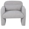 Sapphtopaz Accent Chair Teddy Fleece Single Sofa Chair with Arms and Pillow Lounge Chair Living Room Chair Comfy Chair for Living Room - 2 of 4