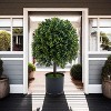 Artificial Topiary Trees Set of 2  Fake Topiary Boxwood Ball Tree with Fruits  Faux Shrubs Plants Green Decor Indoor Porch Garden Decorative Plastic - 2 of 3