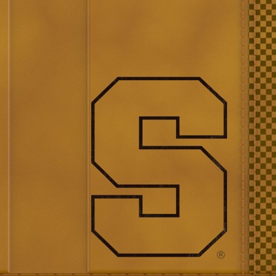 syracuse orange